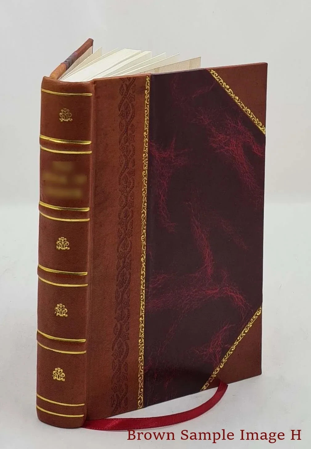 singularem Bound] probatissima, spiritus efficaces Flagellum et terribiles, exorcismos potentissimos, ac [Leather ad : Daemonum expellendos, Remediaque malignos facturasq doctrinam