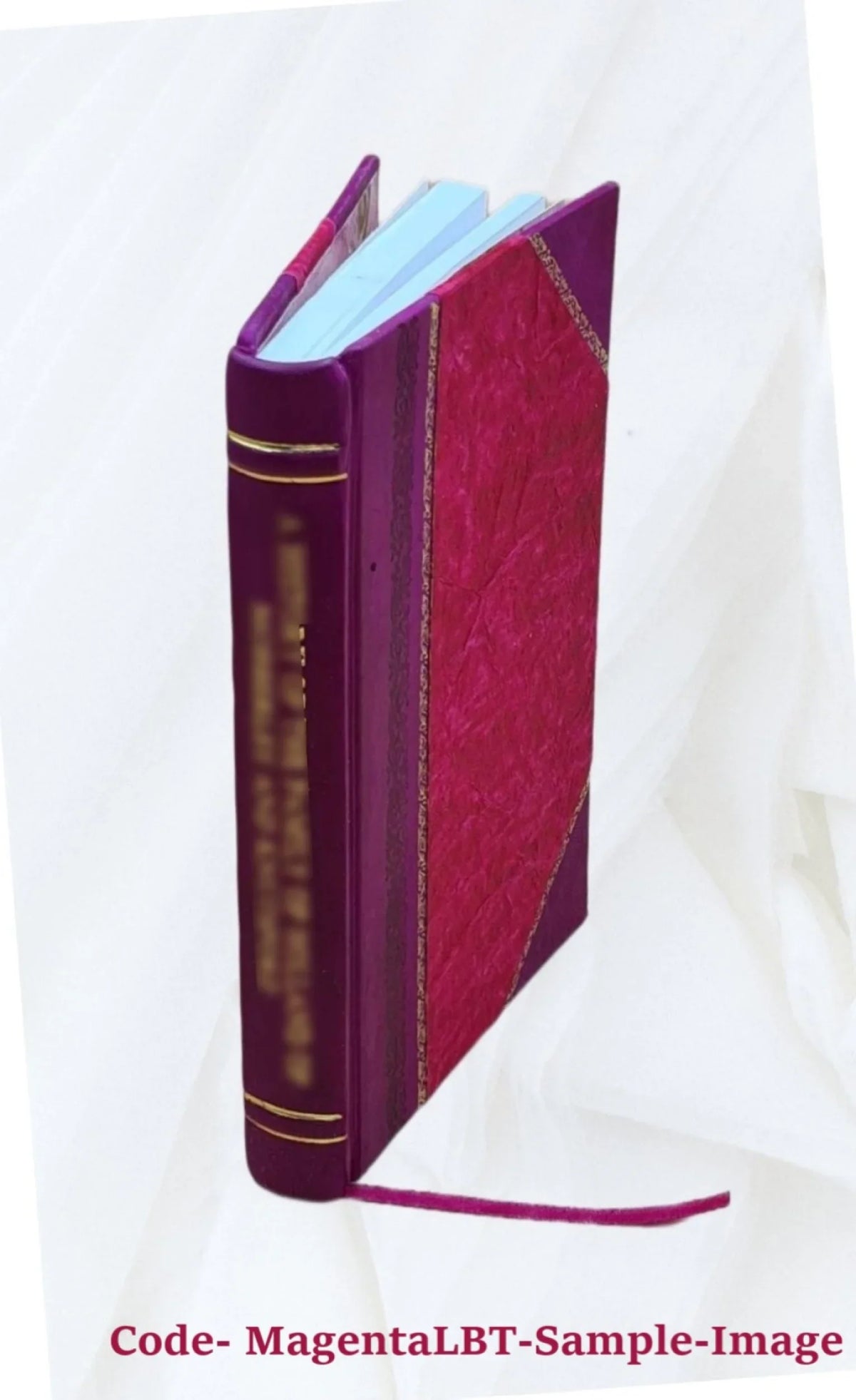 [by Bound] J.B.]. [Leather fragmentis e Excerpta