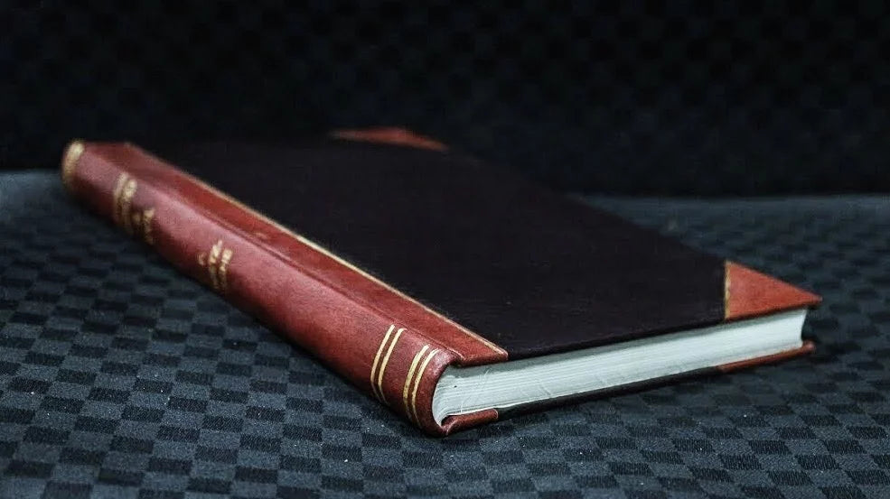Dichtung [Leatherbound] (1903) von Zimmermann. Gothik : Elsa eine /