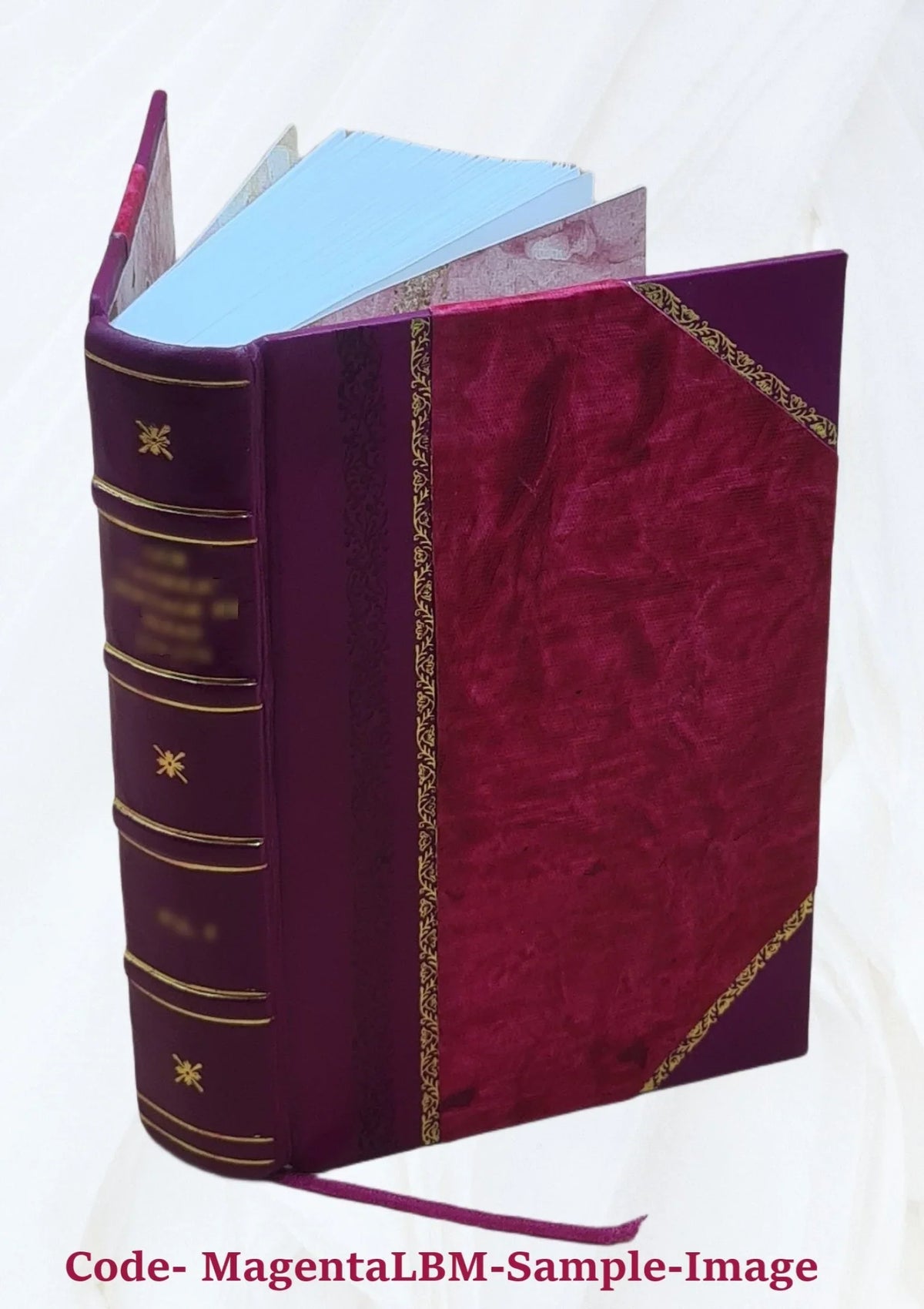 D. Wright Gardeners dictionary Bound] / C. [Leather H. by and Johnson's Dewar. 1910