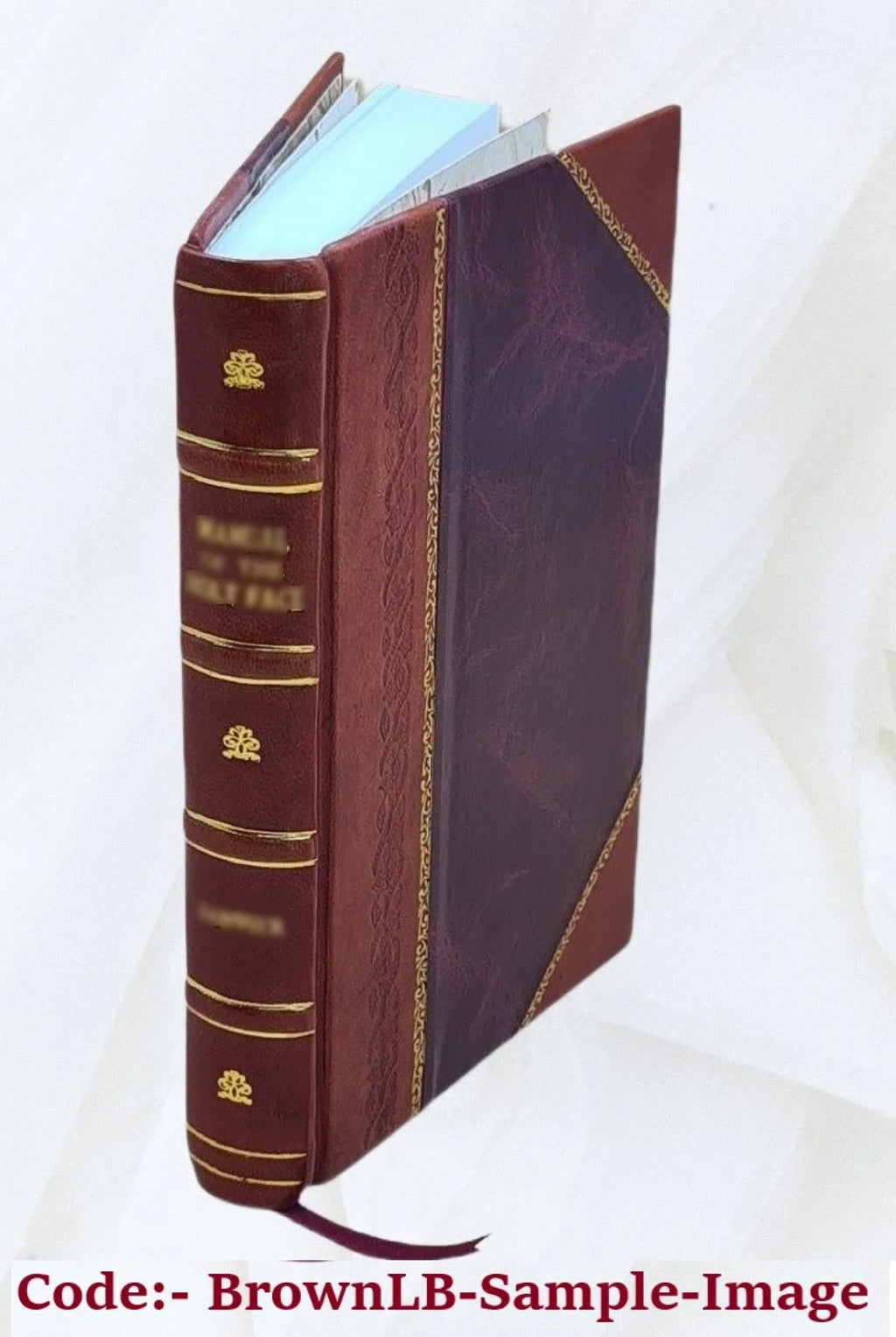 Propaedeutik Philosophische Robert [Leather Bound] / 1860 Zimmermann.
