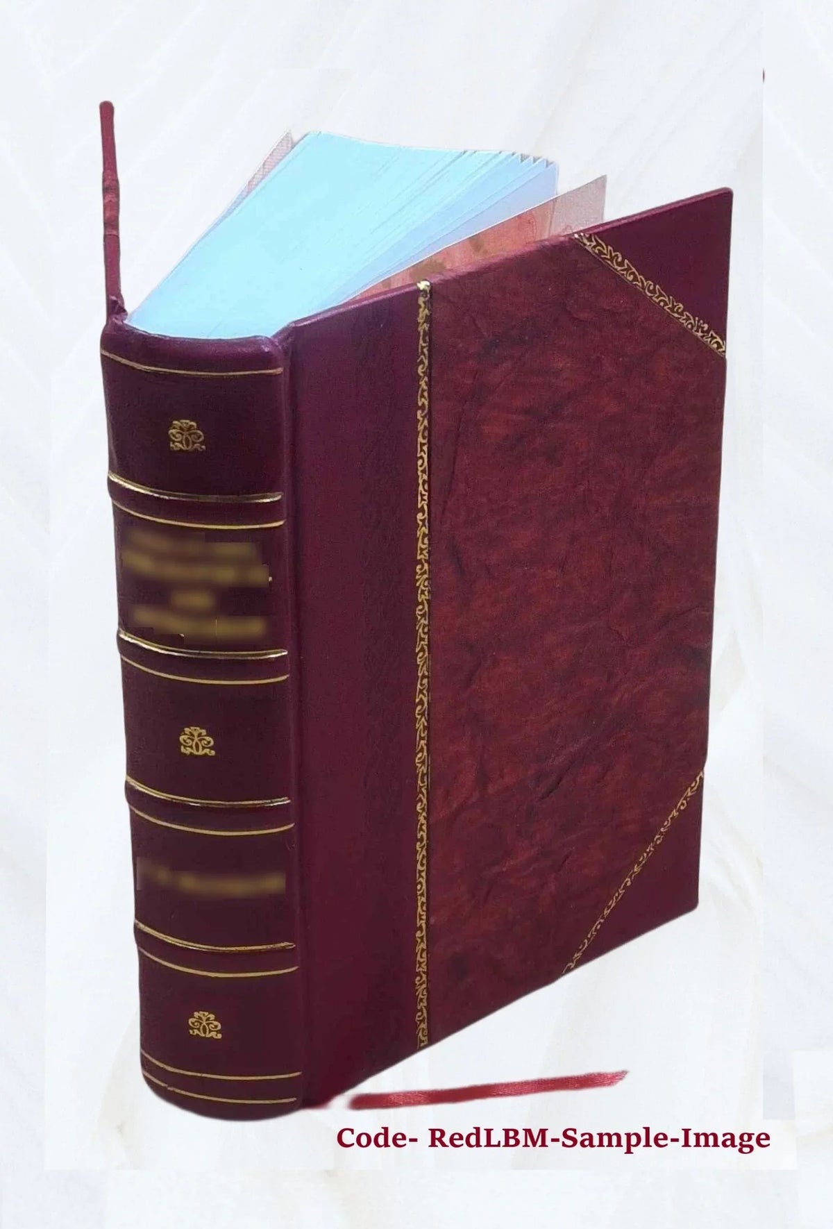 D. Wright Gardeners dictionary Bound] / C. [Leather H. by and Johnson's Dewar. 1910