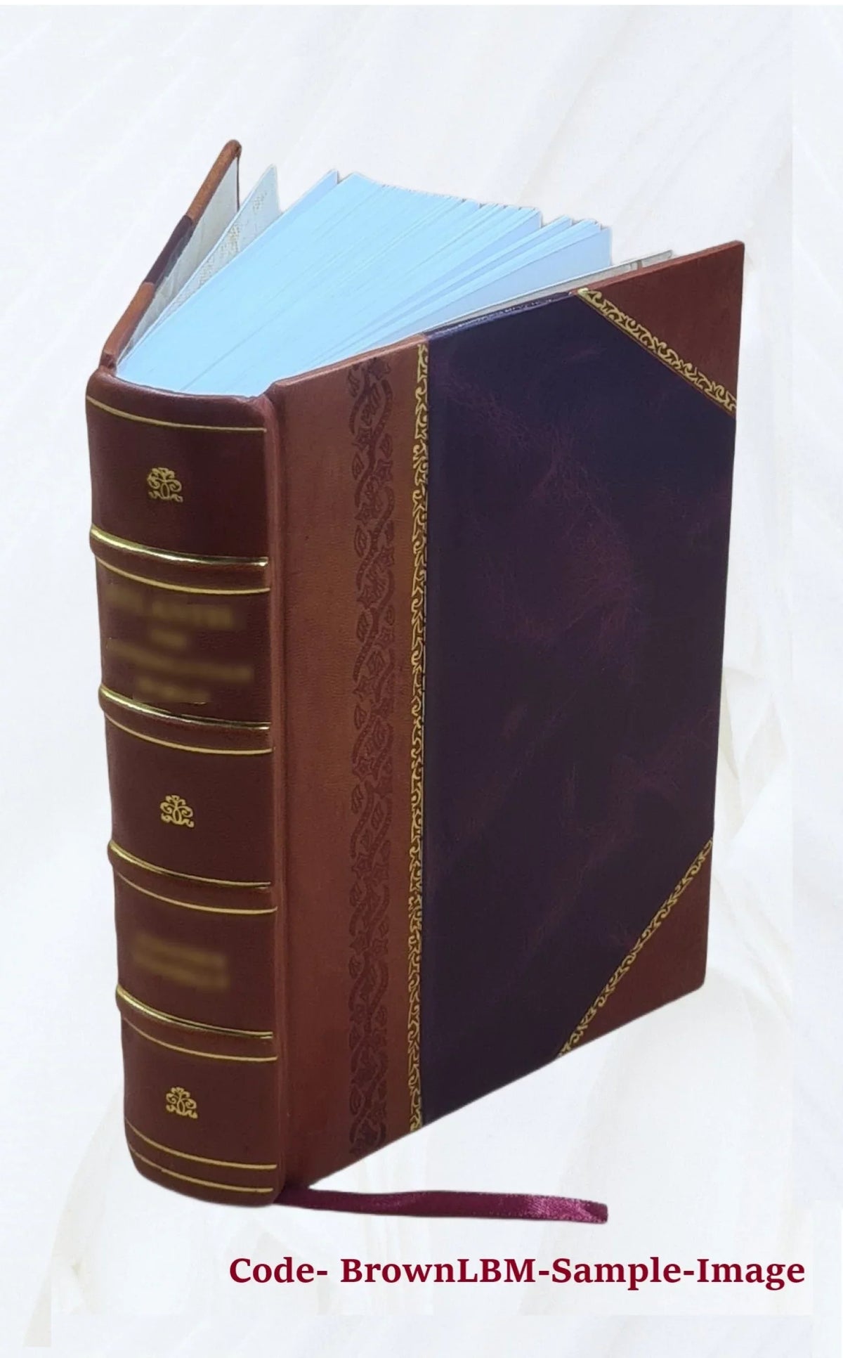 the Dignity I-[V]. With 1829 the Vol. &c. Peer Committees Touching Realm, appendixes. [Leather of &c. Reports a Bound] the Volume Lords from of v.2