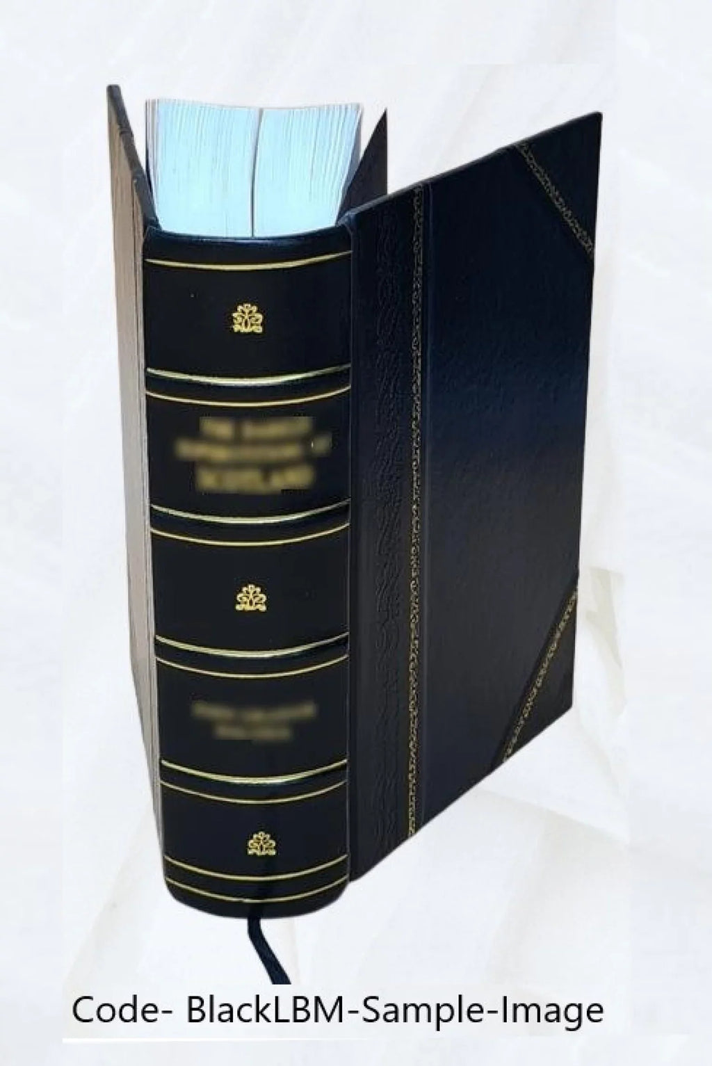 D. Wright Gardeners dictionary Bound] / C. [Leather H. by and Johnson's Dewar. 1910