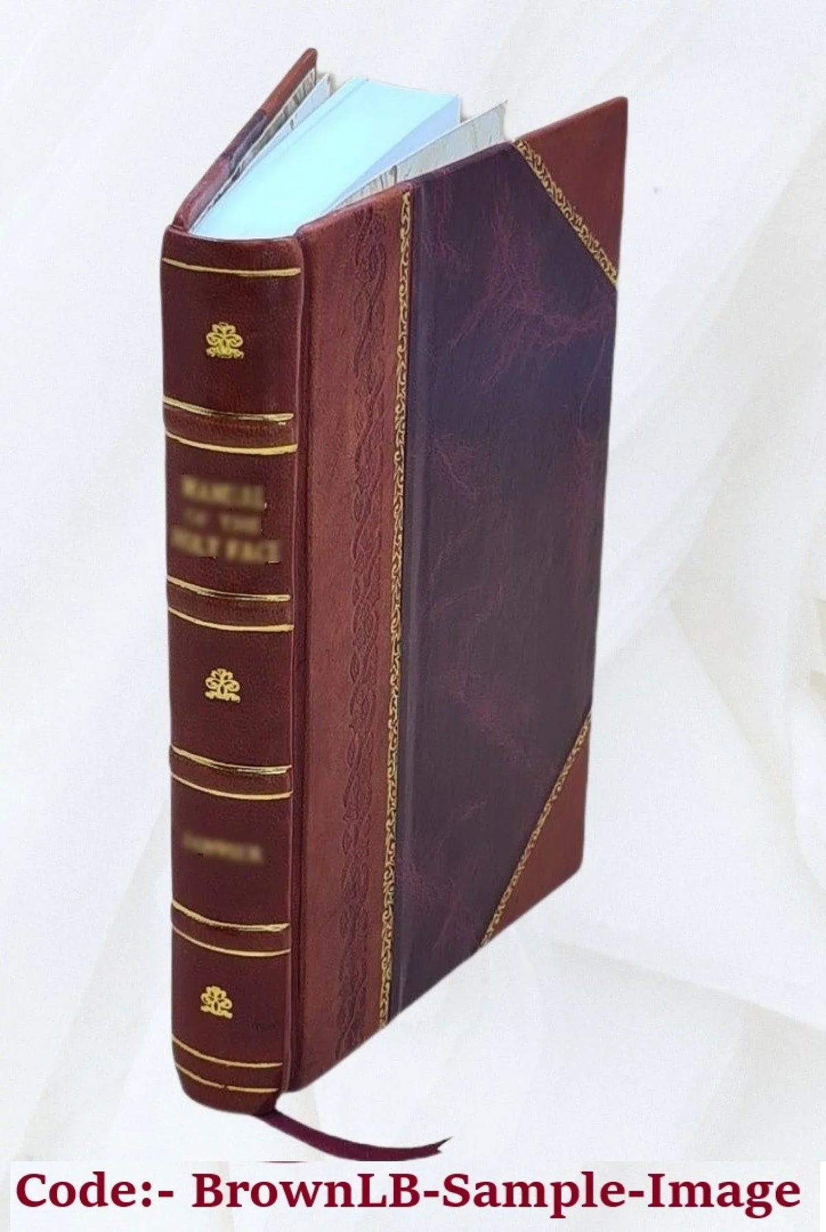 Papers Volume 3 Bound] [Leather 2019
